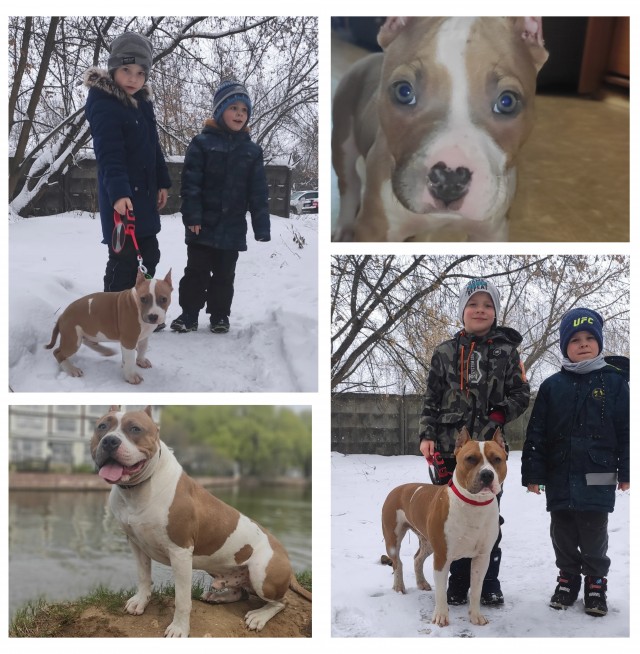 Собакочетверг 12.05.2022