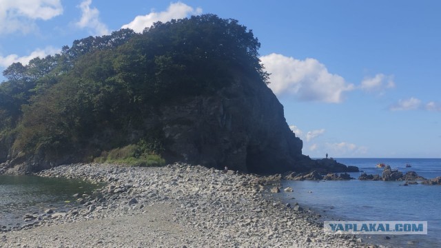 Владивосток – «и только море воды»