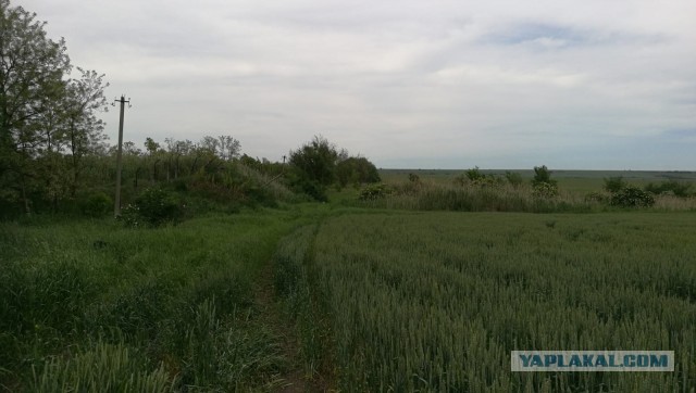 Реанимирование старичка