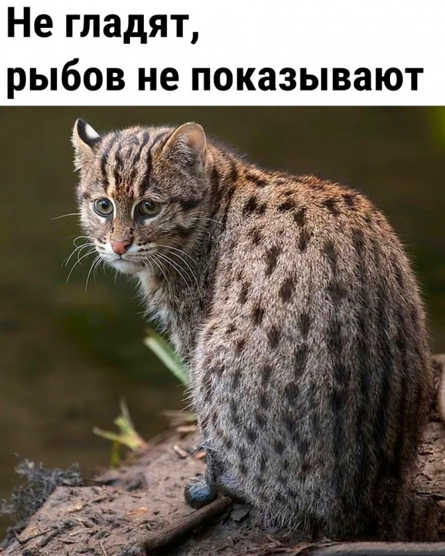 Так себе картинки 18.06.22
