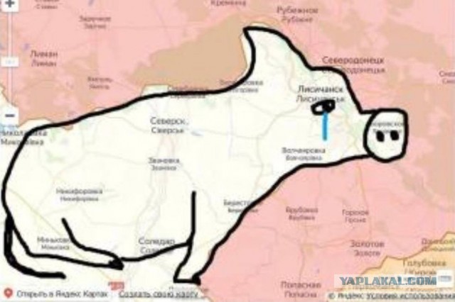 Более 800 украинских солдат сдались в плен под Лисичанском