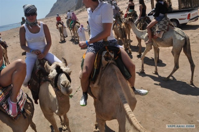 Как я ездил в Египет