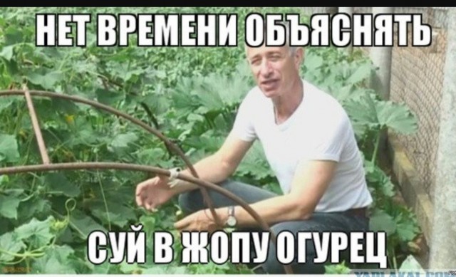 Геноцид морковок