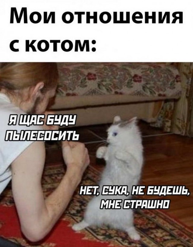 50 оттенков серого или самосвал баянов. Vol.27