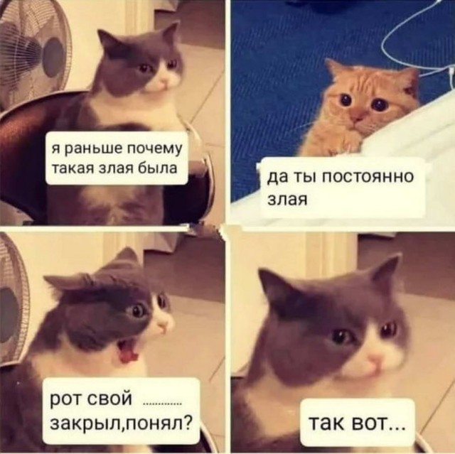 Немного картинок для настроения - 129