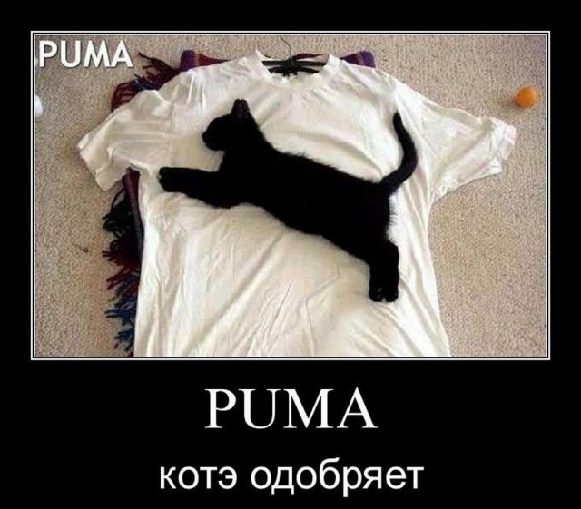 Картинок разной степени @банутости псто.