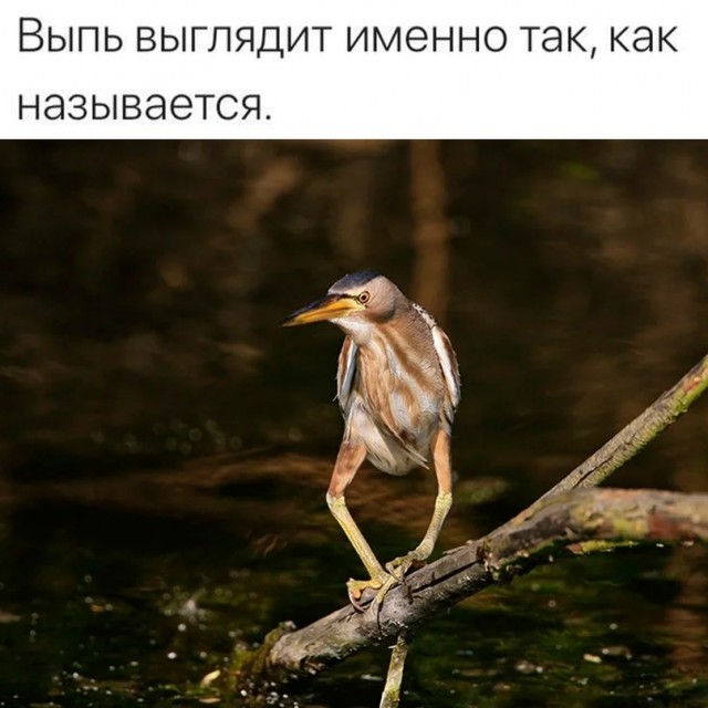 Немного картинок для настроения - 161