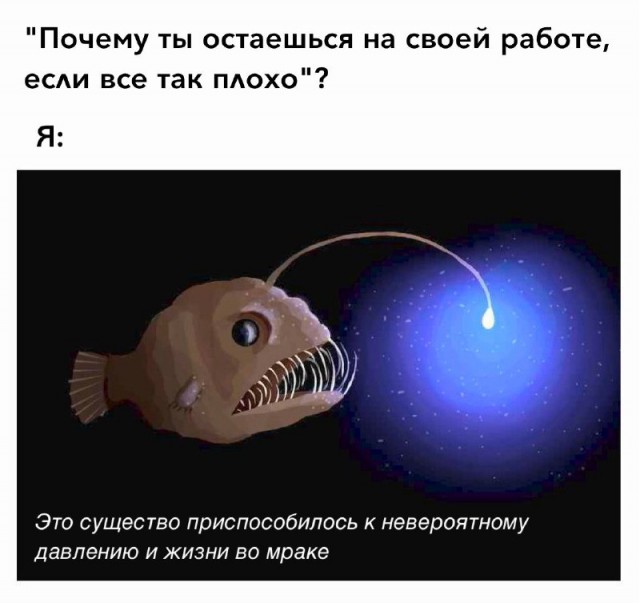 Картинки и мемы, всем хороших выходных
