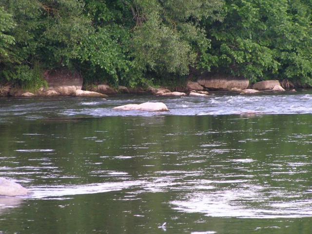 Сплав. Южный Буг.