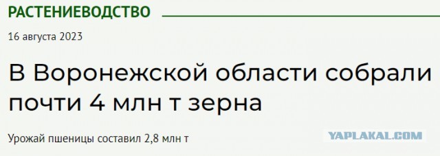 Нижегородская область - 2 млн тонн зерновых
