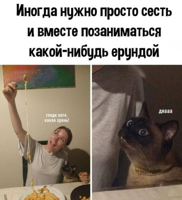 Всего понемногу. От 02.10.23
