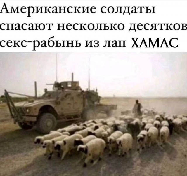ЦАХАМАС