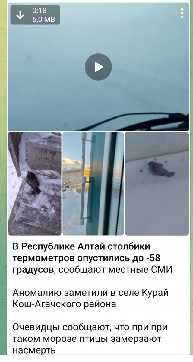 У нас -40, Екатеринбург