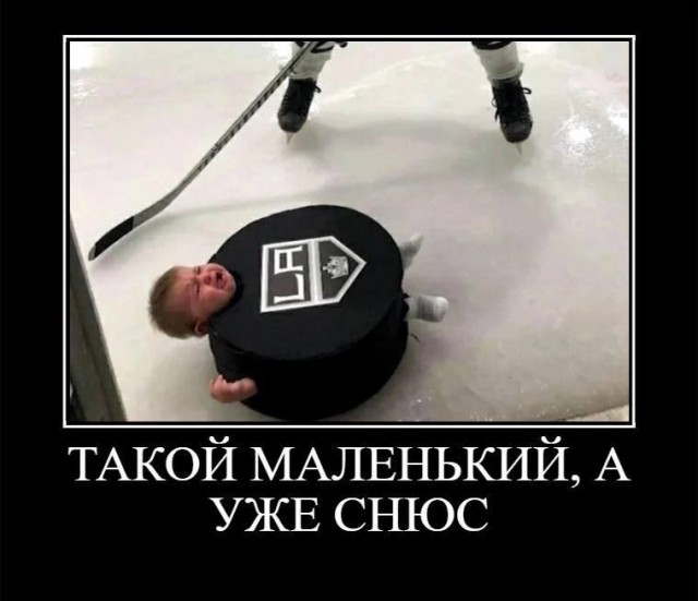Весёлый полтишок 24.12.23
