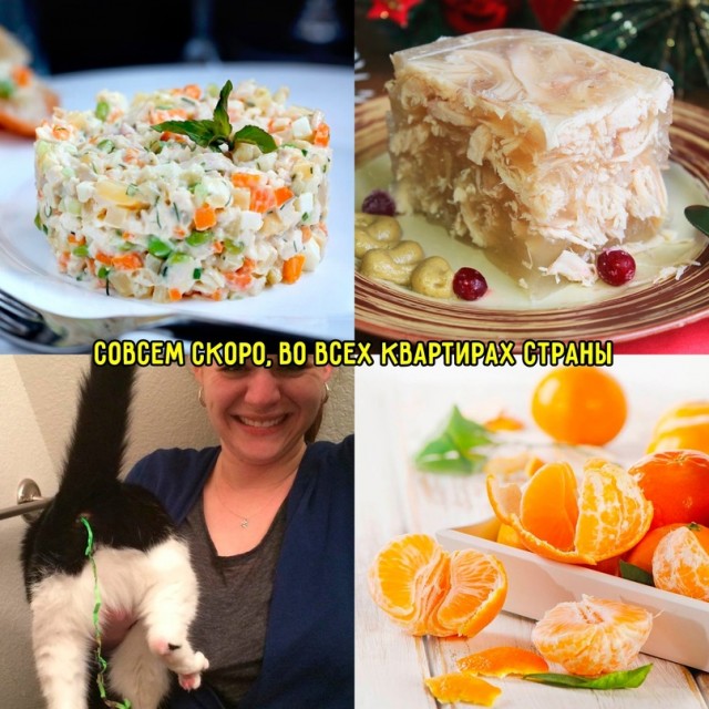 Весёлый полтишок 29.12.23