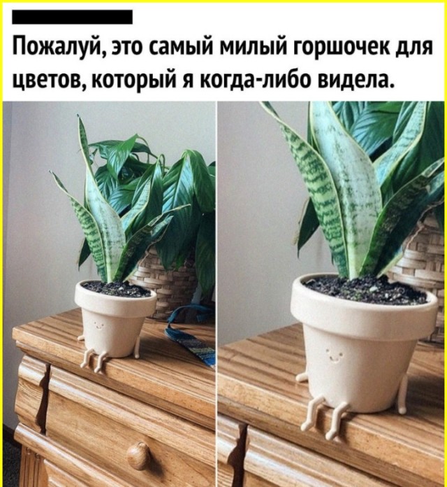 ТРРРРРидцать тРРРРРи от 22 маРРРРта!