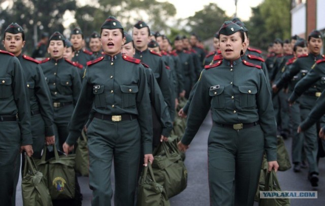 "А ну-ка девушки" по-колумбийски!