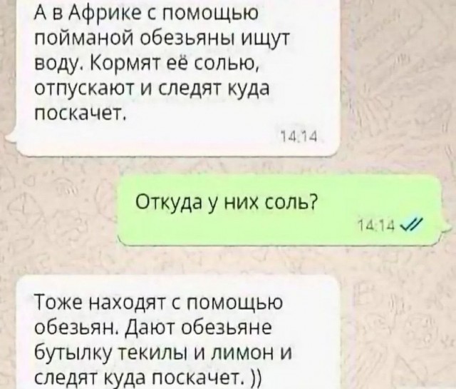Всего понемногу. От 24.06.2024