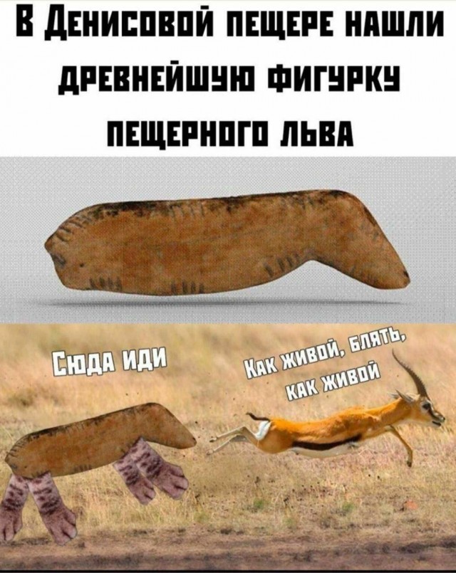 Никакие картинки и тексты