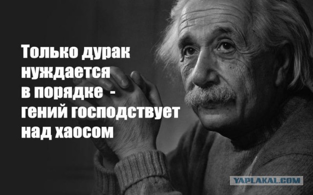 Ученые назвали признаки высокого уровня IQ
