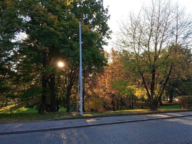 Оборотни против вампиров. Конкурс ужастиков к 31 октября