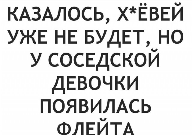 19502736.jpg