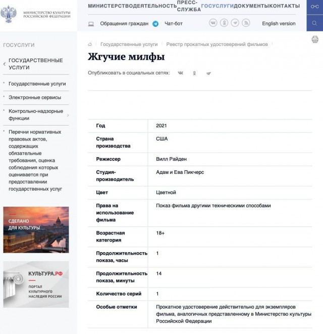 Минкульт РФ одобрил показ порно в онлайн-кинотеатрах