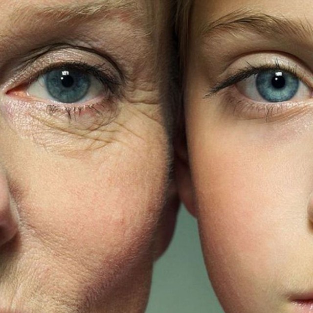 Старение происходит неравномерно: учёные выявили два ключевых возрастных скачка