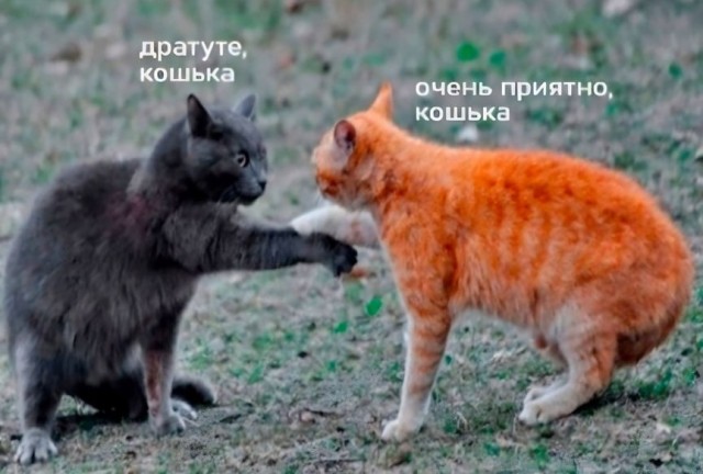 Бесплатнавые баяны