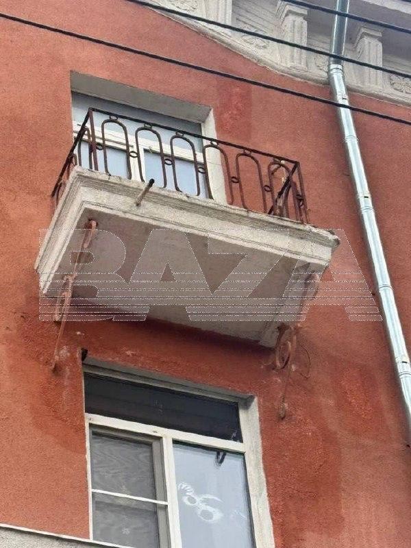 В Твери плохой капремонт стал причиной потери рассудка у попугая Гири — из-за дыр в фасаде дома клетку пернатого затопило