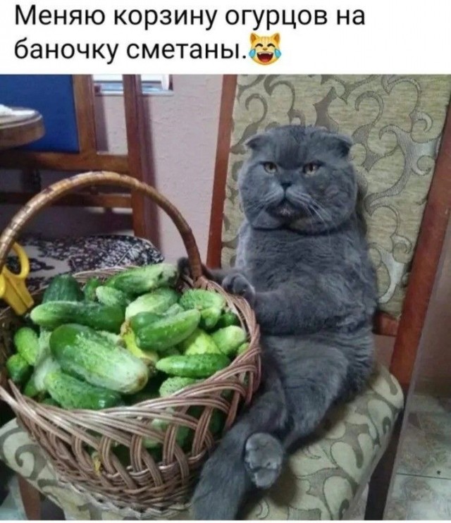 Прикольные и просто красивые картинки 10.10.2025