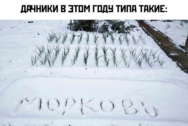Так себе картинки 14.11.25