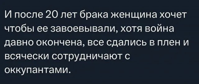 Мой кот