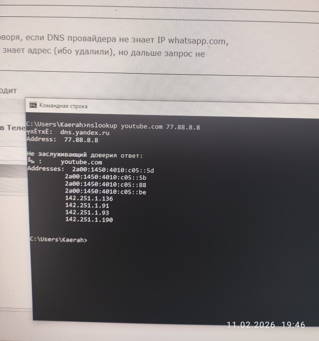Домен WhatsApp* пропал из DNS-серверов Роскомнадзора