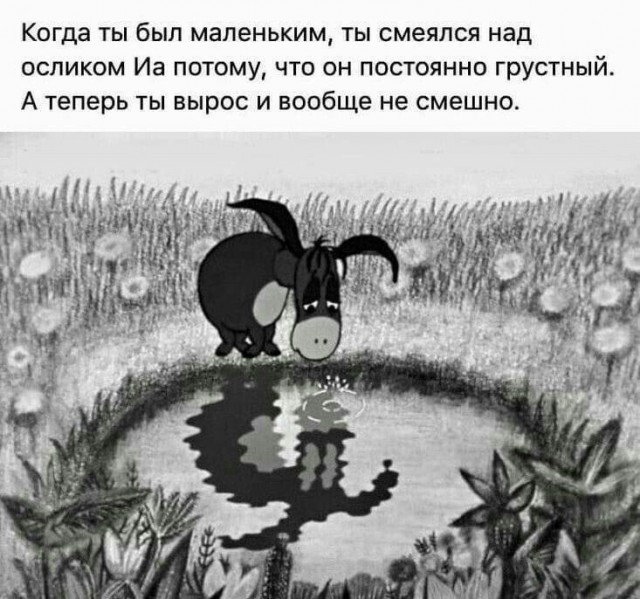 Среды картинки