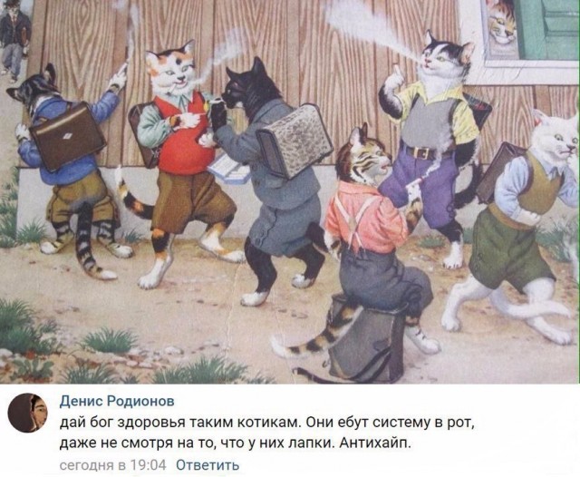 К котовторнику: подборка картинок-баянов с котиками и про котиков. Выпуск 33..