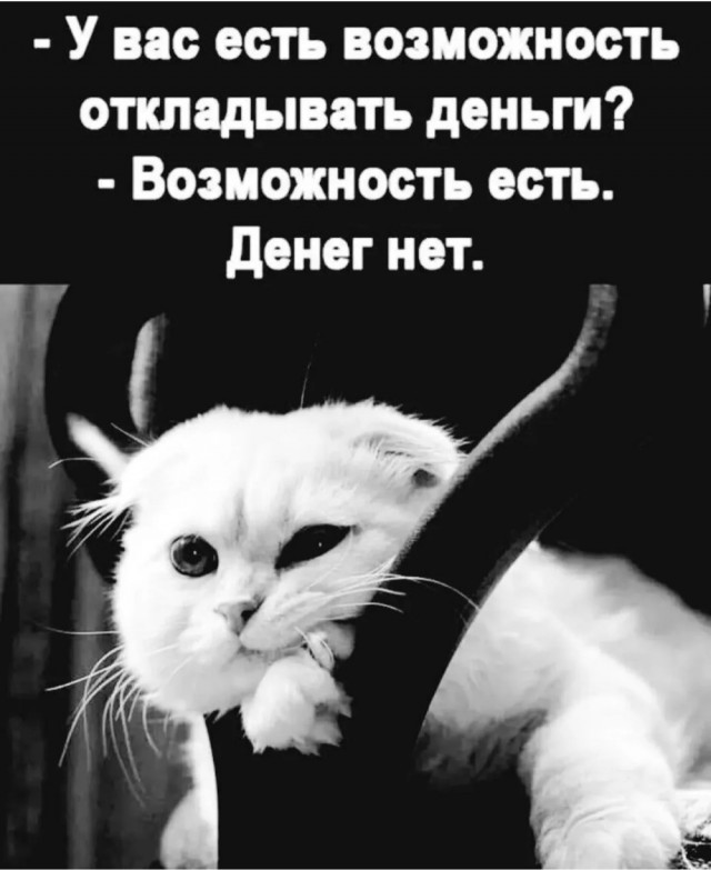 Четверговые картинки