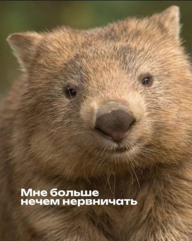 Картиночки, баянчики 11 мая