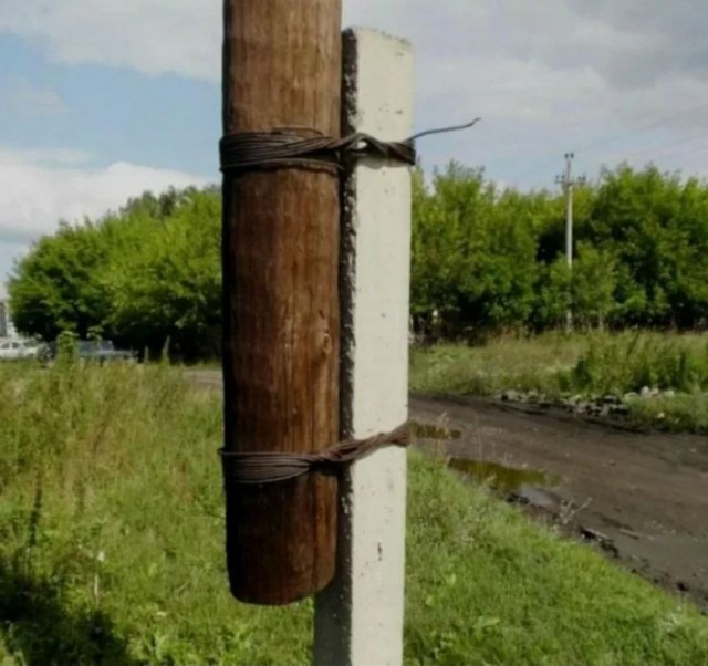 Бобэр курва