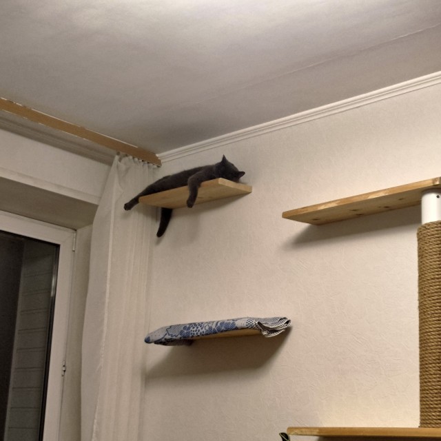 Котское.