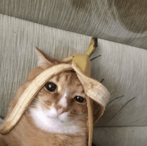 Мемчики