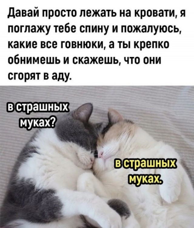 Никакого комплекса у меня нет, я действительно неполноценный!