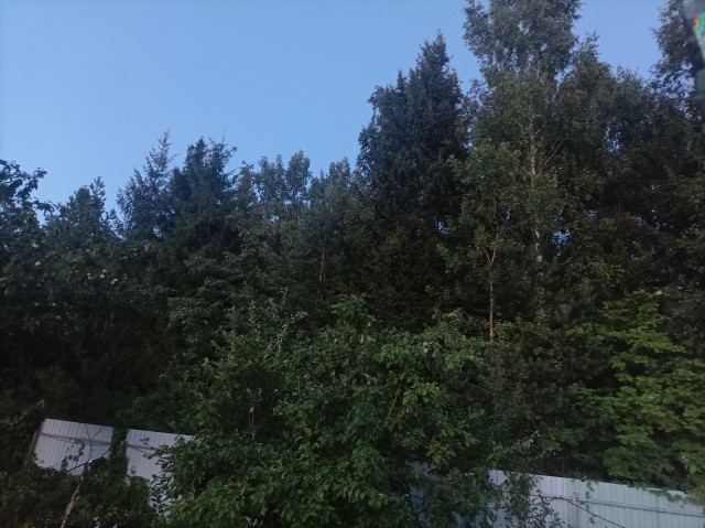 ДНК-тест