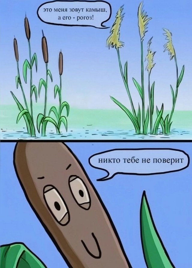Делаем кораблик из листка камыша