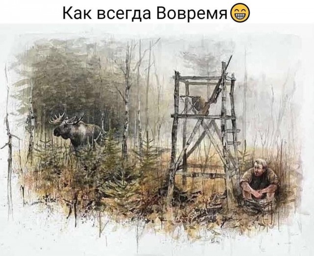 Картинки для деградации 254 (разной степени сежести)