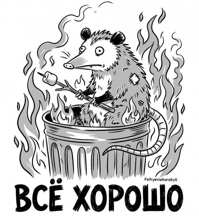 Котики