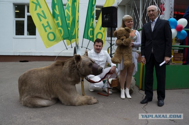 А вы ходили на выборы?