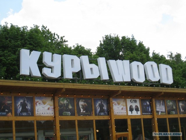 КУРЫwood -история создания!