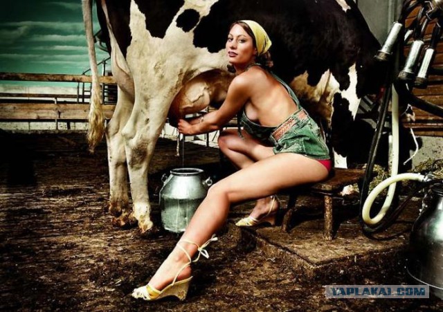 Один день фотографа Олимпийских игр