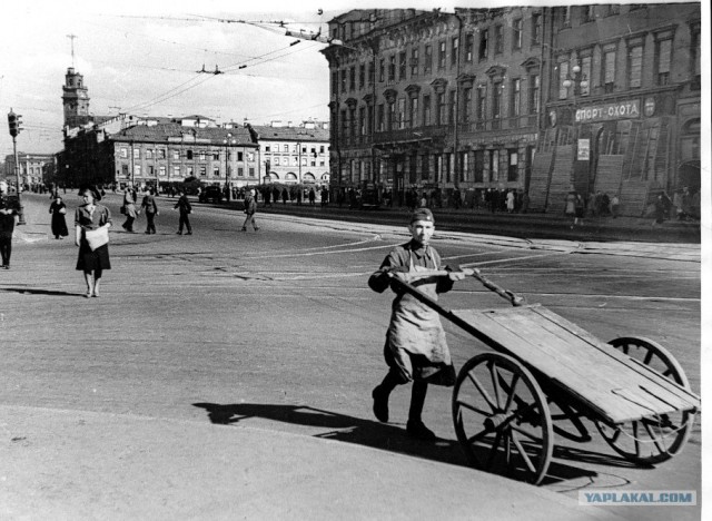 Блокадный Ленинград 1943 год